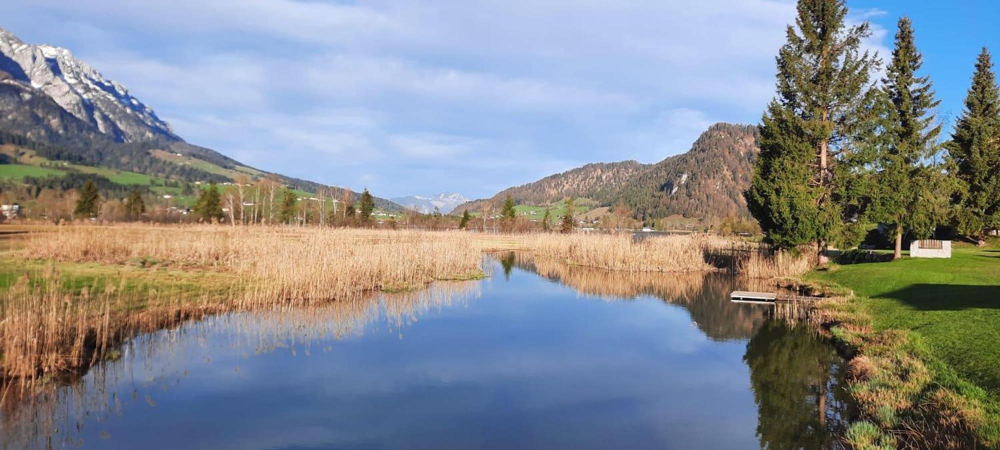 Tanja'S Kaiserdomizil Walchsee Buitenkant foto