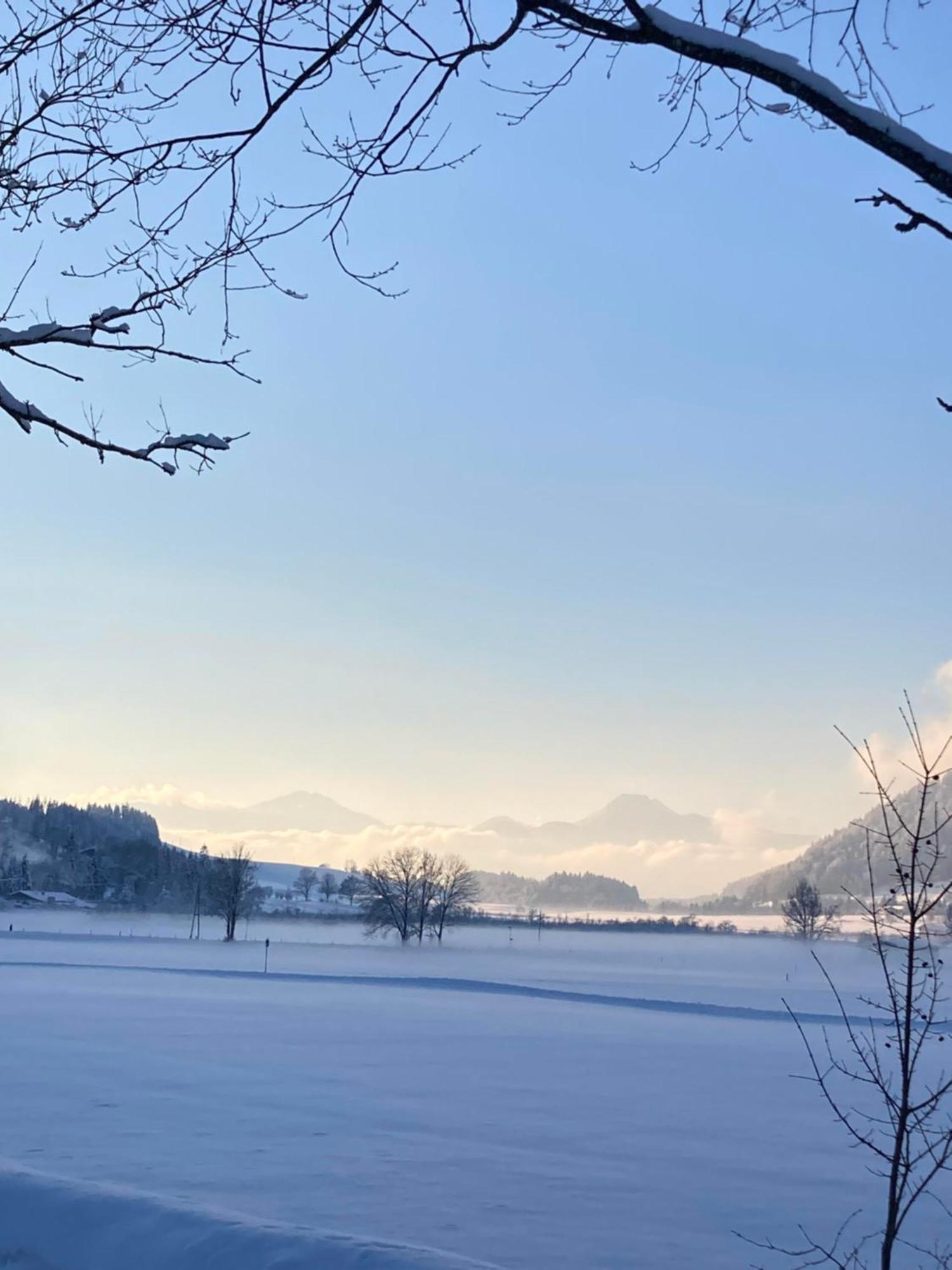 Tanja'S Kaiserdomizil Walchsee Buitenkant foto