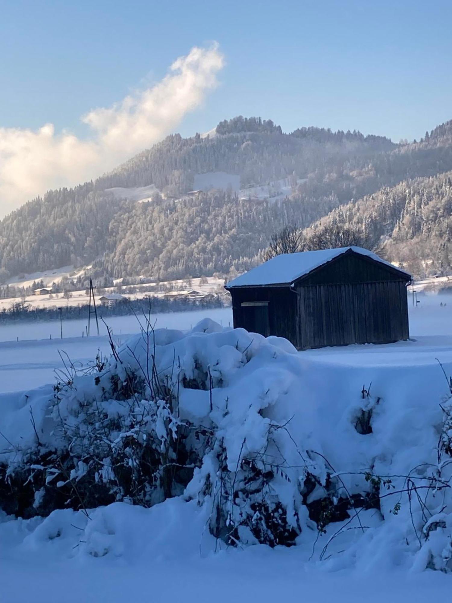 Tanja'S Kaiserdomizil Walchsee Buitenkant foto