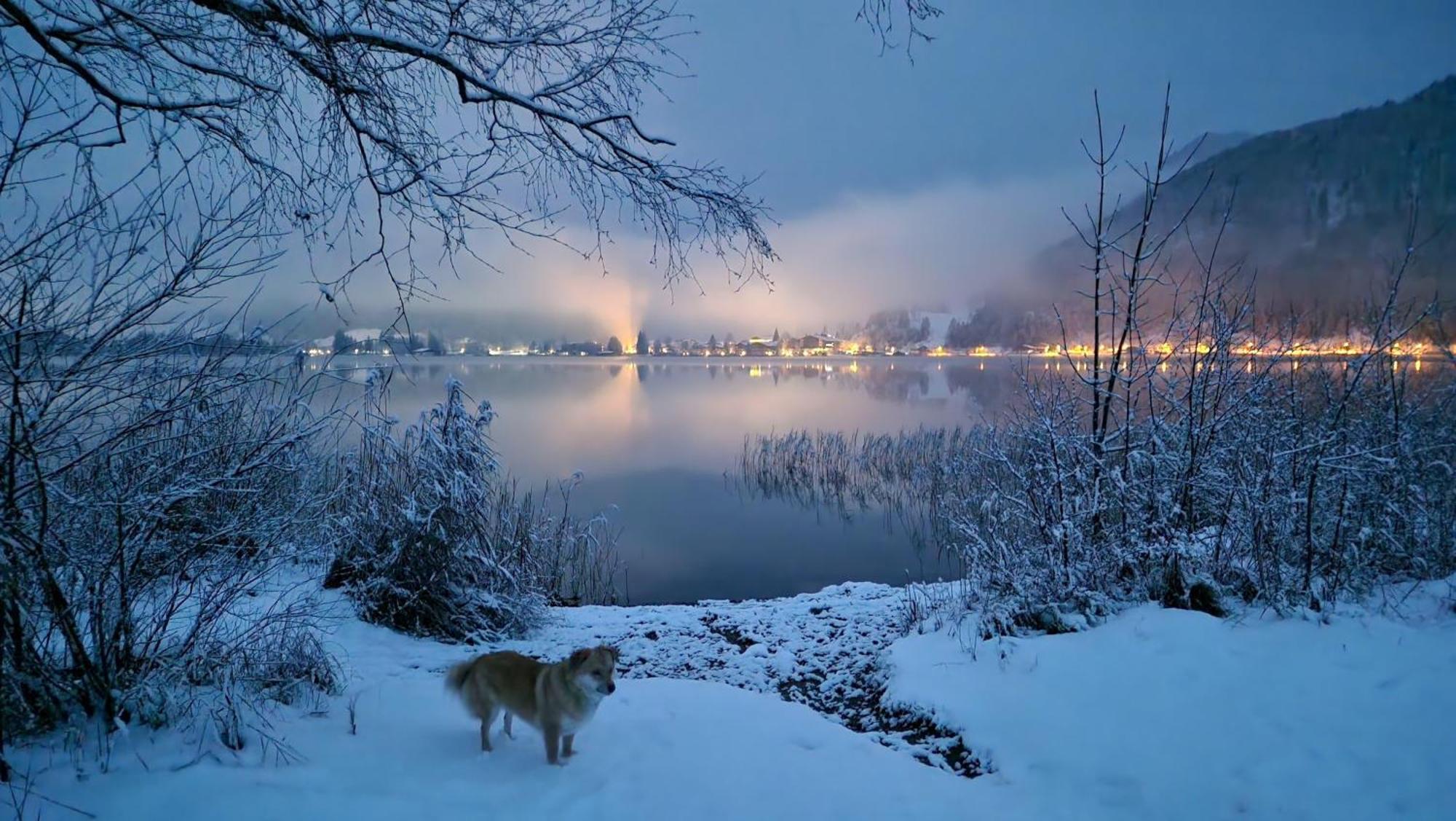 Tanja'S Kaiserdomizil Walchsee Buitenkant foto