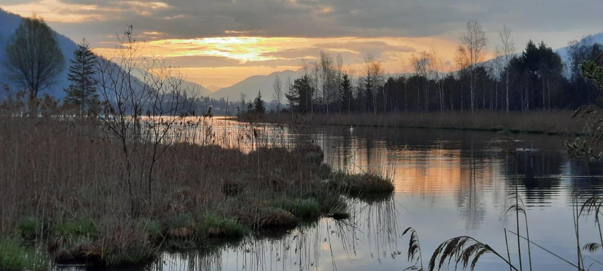 Tanja'S Kaiserdomizil Walchsee Buitenkant foto