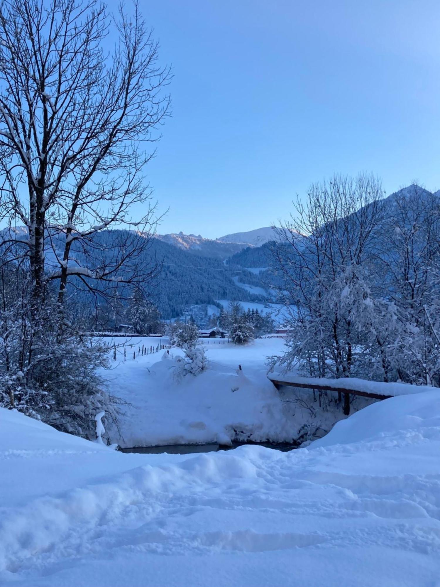 Tanja'S Kaiserdomizil Walchsee Buitenkant foto
