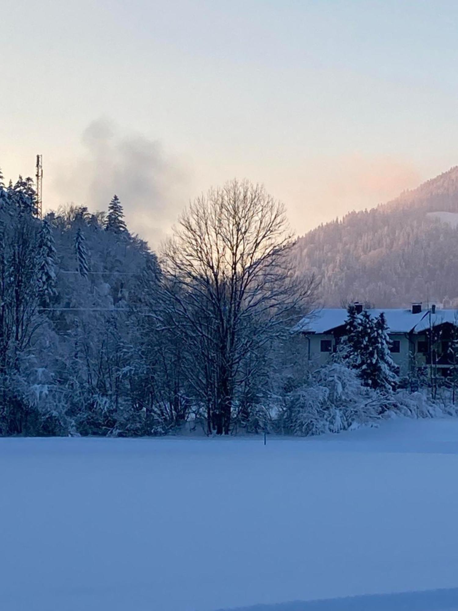Tanja'S Kaiserdomizil Walchsee Buitenkant foto