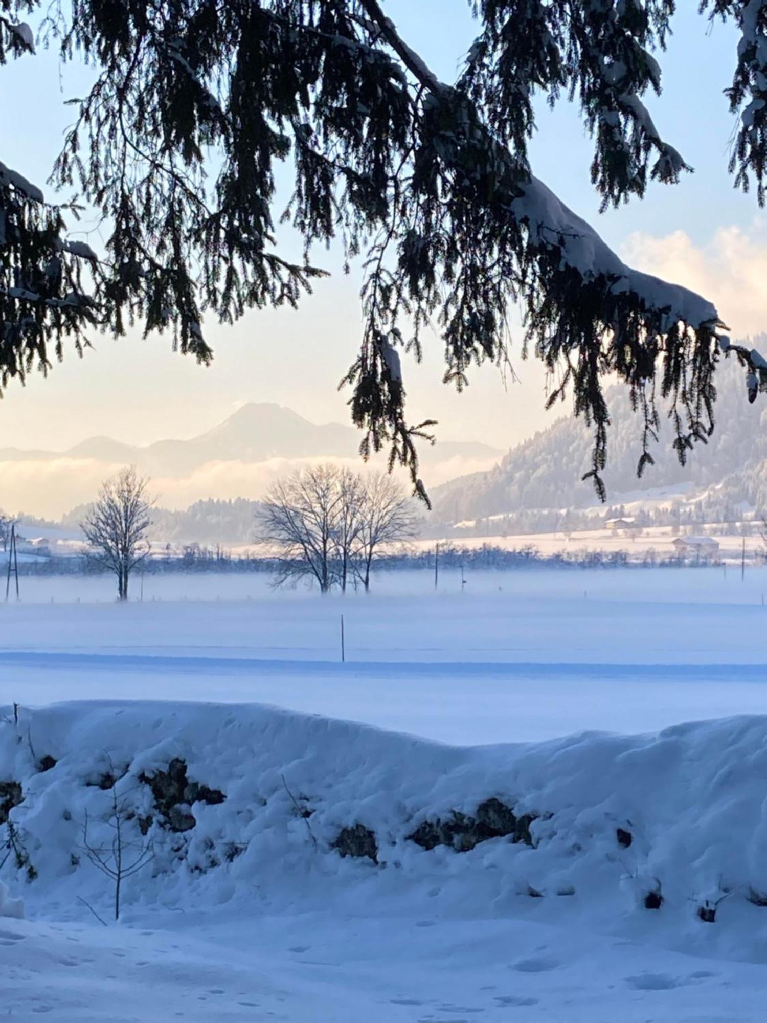 Tanja'S Kaiserdomizil Walchsee Buitenkant foto